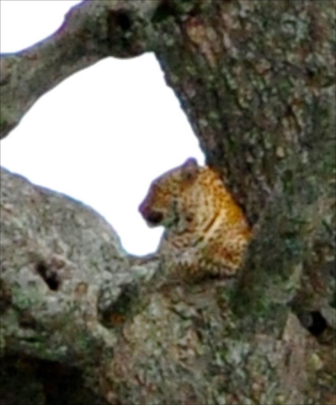 Melanie Heinrich Travel Images Africa